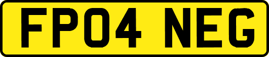 FP04NEG