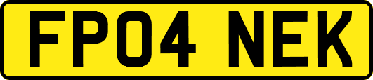 FP04NEK