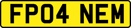 FP04NEM