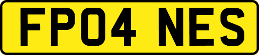 FP04NES