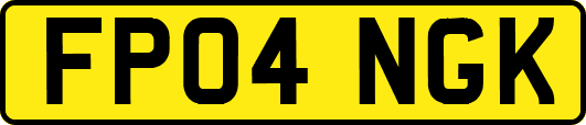 FP04NGK