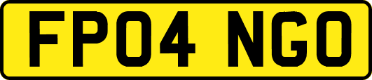 FP04NGO