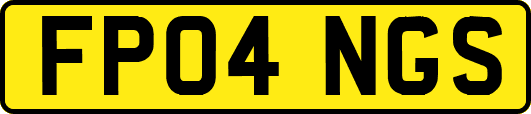 FP04NGS