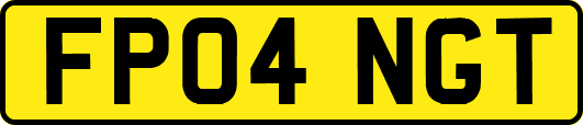 FP04NGT