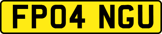 FP04NGU