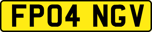 FP04NGV