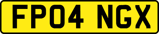 FP04NGX