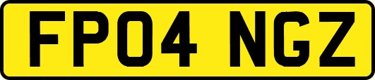 FP04NGZ