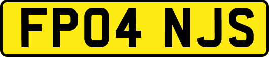 FP04NJS