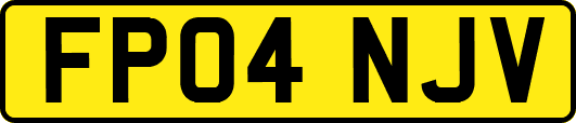FP04NJV