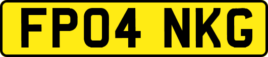 FP04NKG