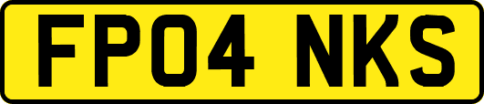 FP04NKS
