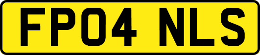 FP04NLS