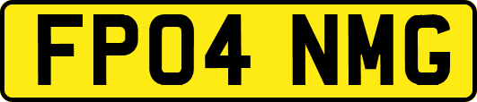 FP04NMG