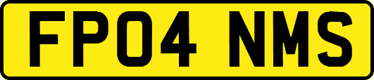 FP04NMS