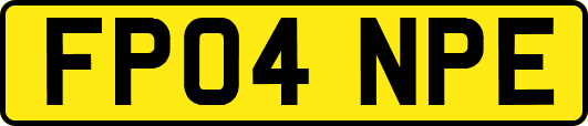 FP04NPE