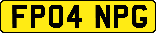 FP04NPG