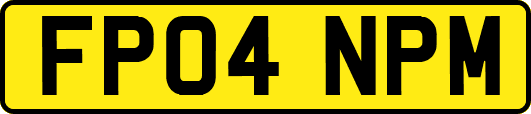 FP04NPM