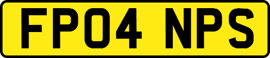 FP04NPS