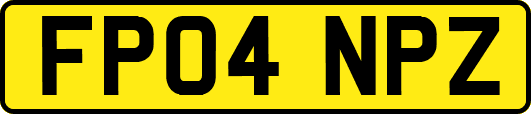 FP04NPZ