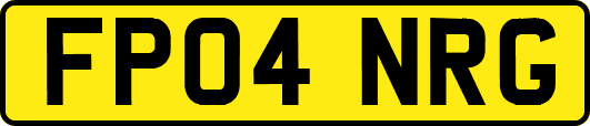 FP04NRG