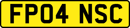 FP04NSC