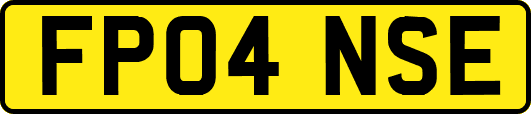FP04NSE