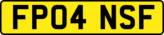 FP04NSF