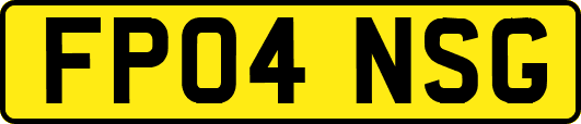 FP04NSG