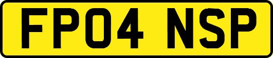 FP04NSP