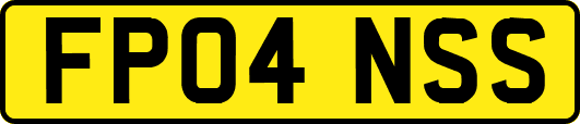 FP04NSS