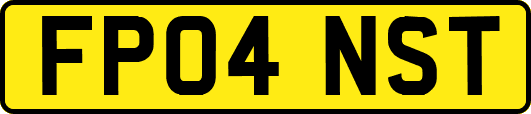 FP04NST
