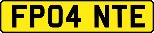 FP04NTE