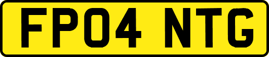 FP04NTG