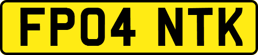 FP04NTK