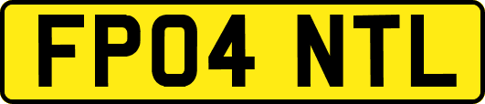 FP04NTL