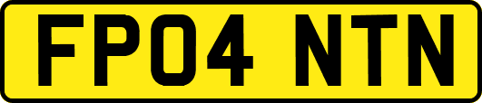 FP04NTN