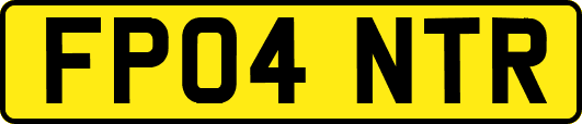 FP04NTR