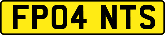 FP04NTS