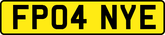 FP04NYE