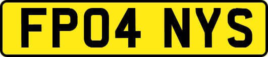 FP04NYS