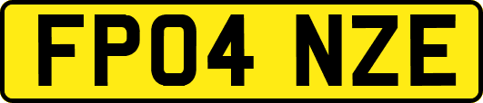 FP04NZE