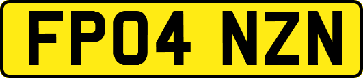 FP04NZN