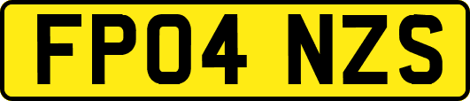 FP04NZS