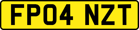 FP04NZT