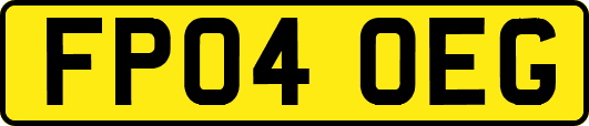 FP04OEG
