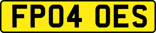 FP04OES