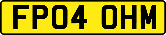 FP04OHM