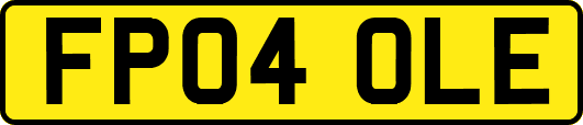 FP04OLE