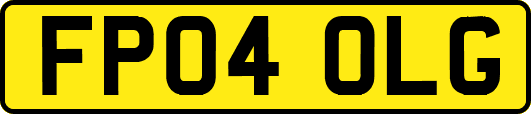 FP04OLG
